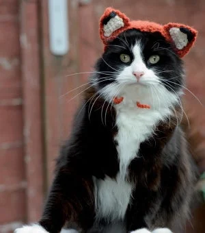 beanies with winter patterns-  Cats In Hats - Feline Fox (Crochet)