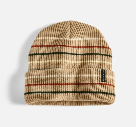 beanies for extreme weather-  Autumn Multi Stripe Beanie