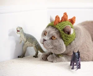 beanies for winter travel-  Cats In Hats - Dinosaur (Knit)